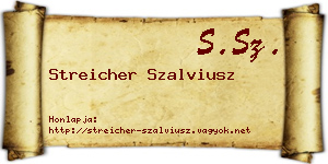 Streicher Szalviusz névjegykártya